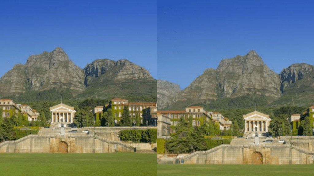 Top Agricultural Sciences Universities in South Africa Best Global Rankings